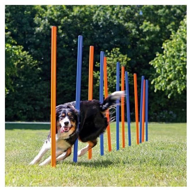 Hovedbilde Trixie Slalom
