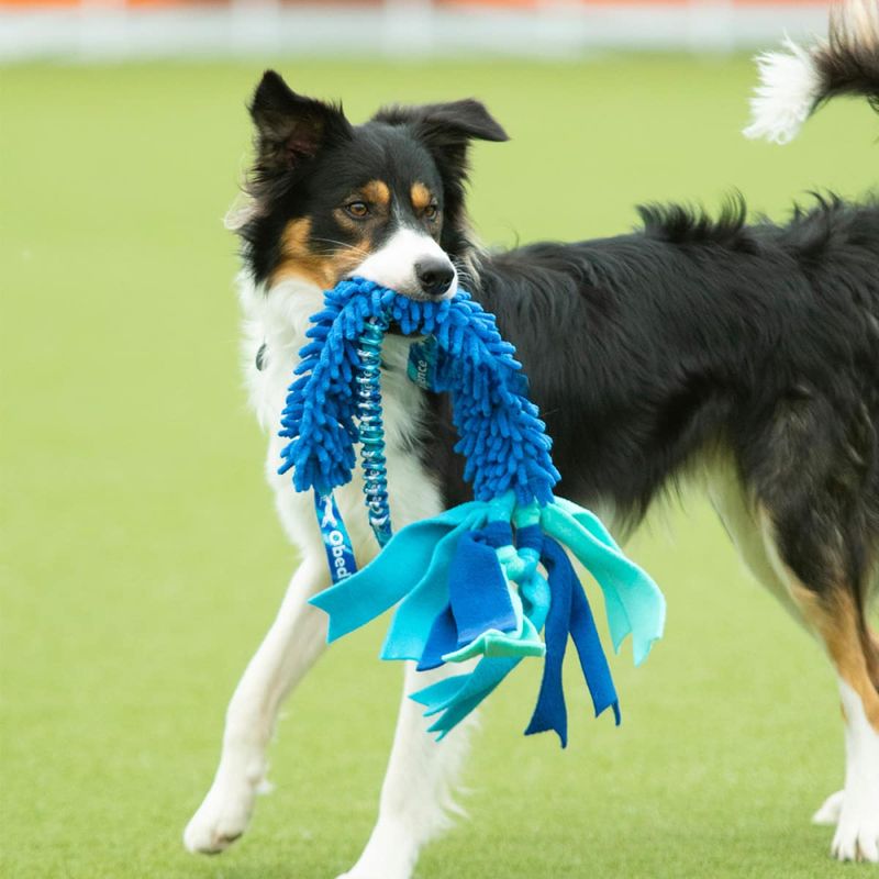 Dog's Craft Tugger Obedience