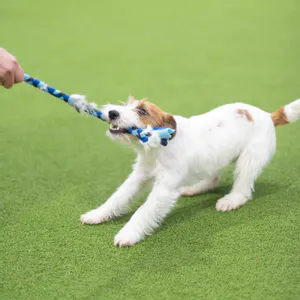 Hovedbilde Paws Made Liten kaninflette