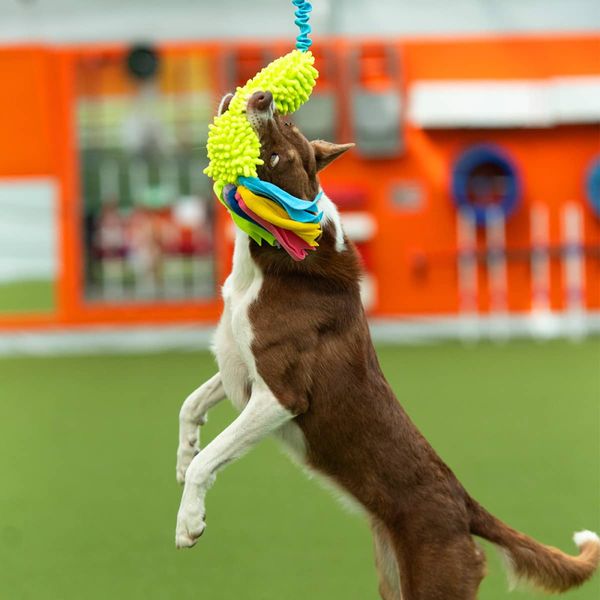 KW Valpeleke med mopp og strikk