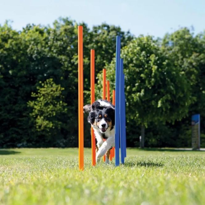 Hovedbilde Trixie Slalom