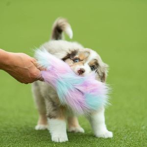 Hovedbilde Doggie-Zen Stor Elastisk kampring