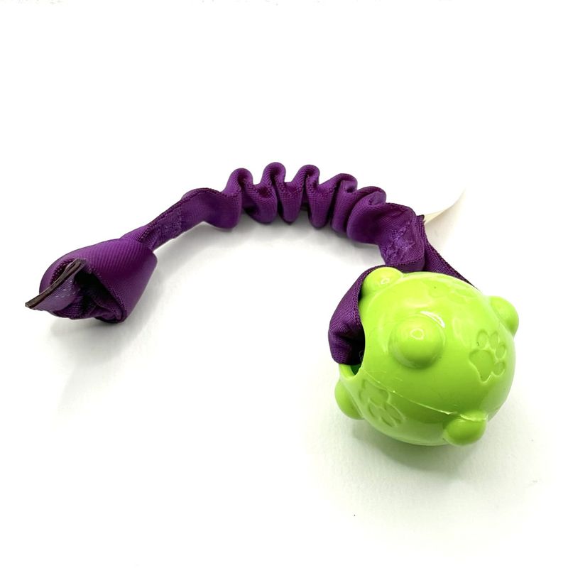 Doggie-zen kampleke med amazing pipeball