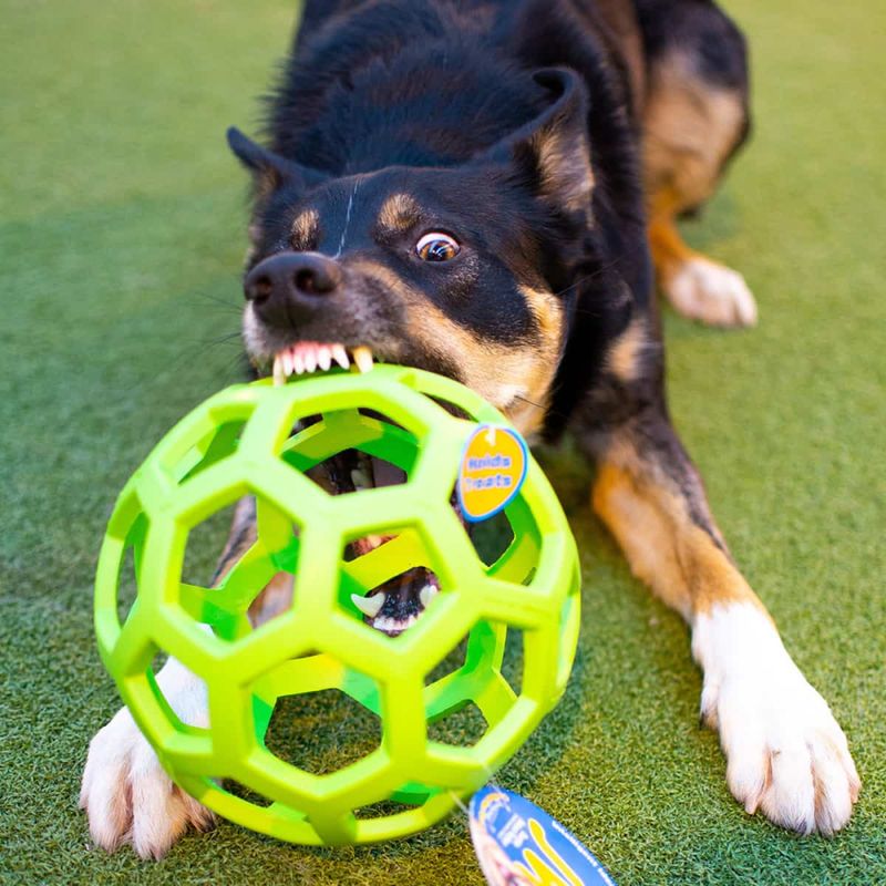Hol-ee Roller nettingball