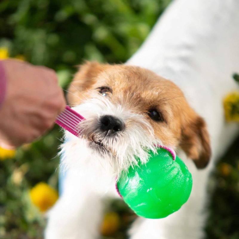 Doggie-Zen Sure grip funball