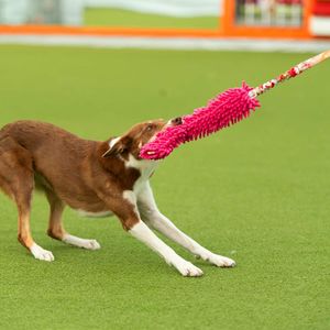 Hovedbilde Zayma Winter Mop