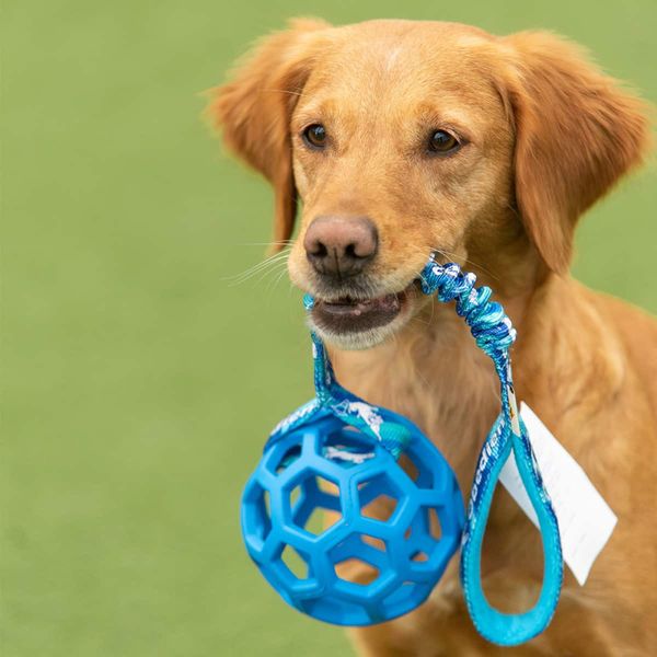 Dog`s Craft Hol-ee Roller obedience