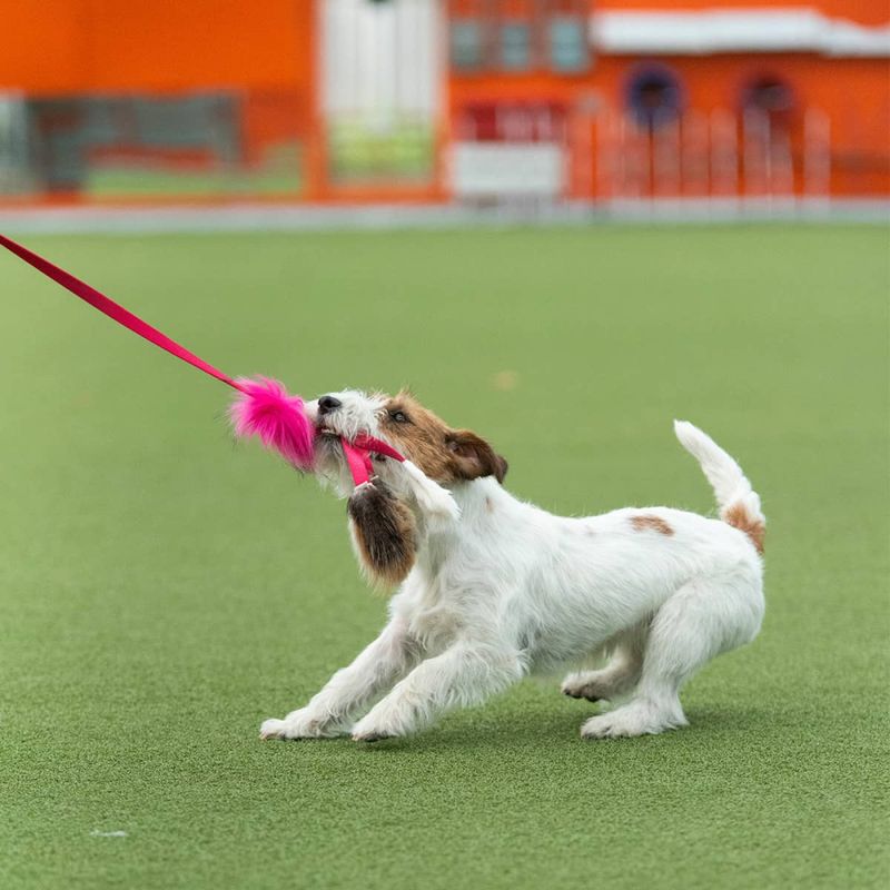 Doggie-Zen Liten blekksprut jaktleke med sau og kanin