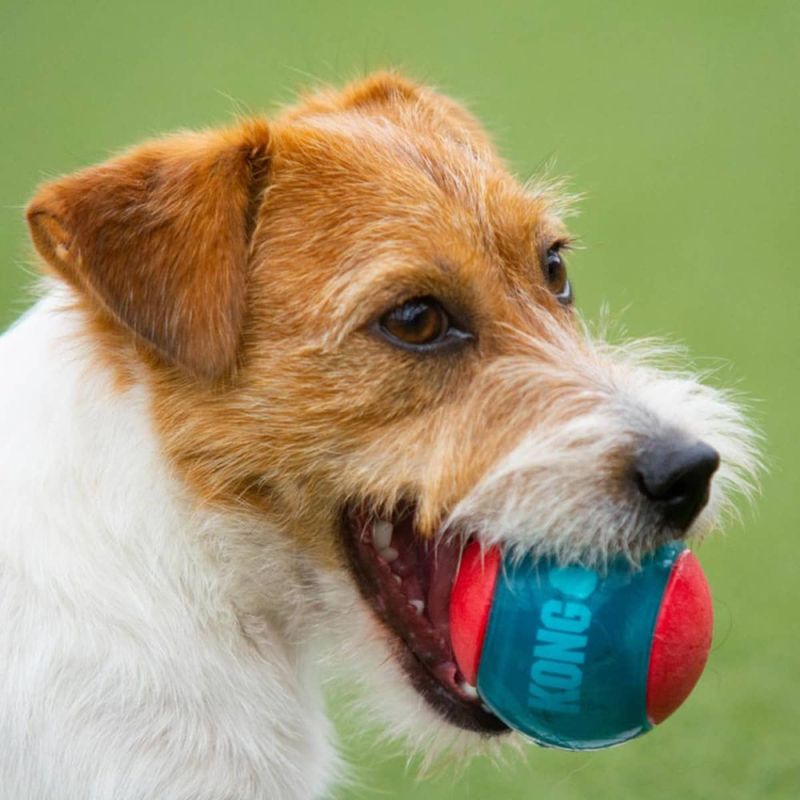 KONG Squeezz Action ball
