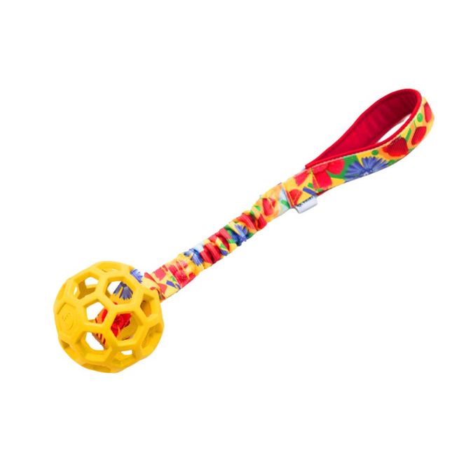 Hovedbilde Zayma Hol-ee roller season