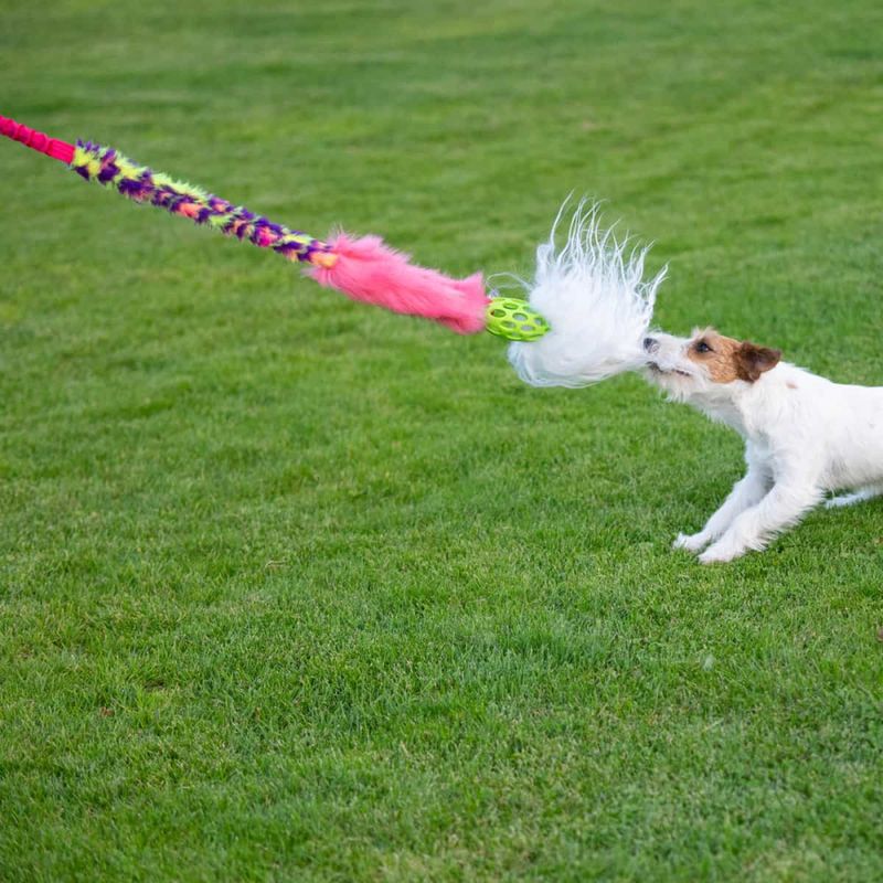 Doggie-Zen Lang jaktleke med sau, fuskepels og nettingball
