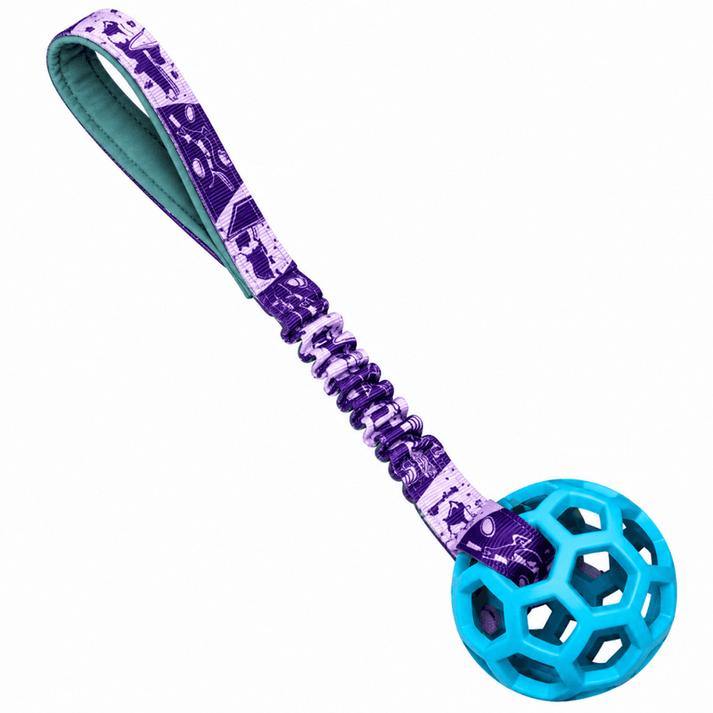 Zayma hol-ee roller med sport webbing