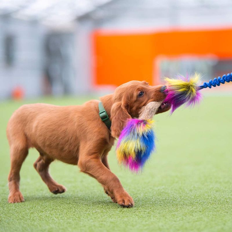 Doggie-Zen Elastisk pipeleke med kaninpels