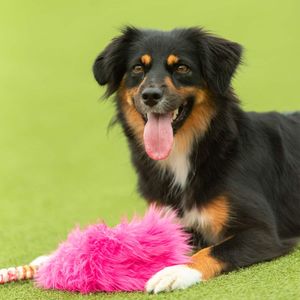 Hovedbilde Zayma Winter Fuskepels