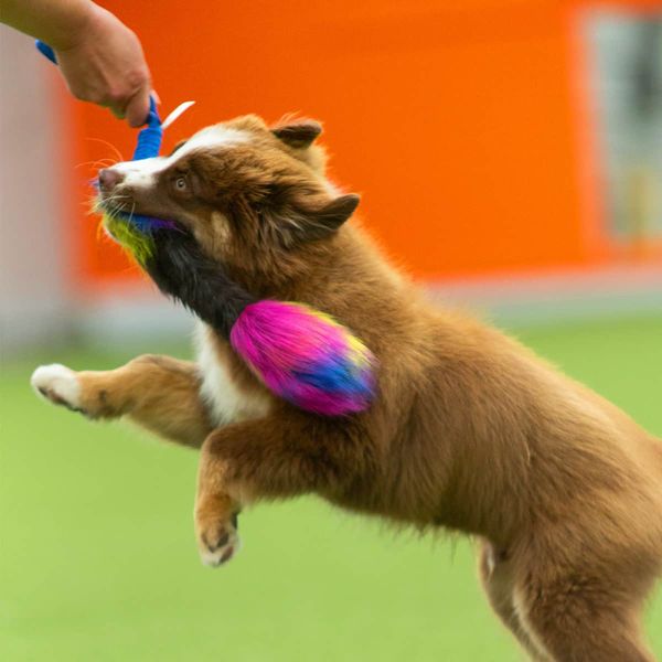 Doggie-Zen Elastisk pipeleke med kaninpels