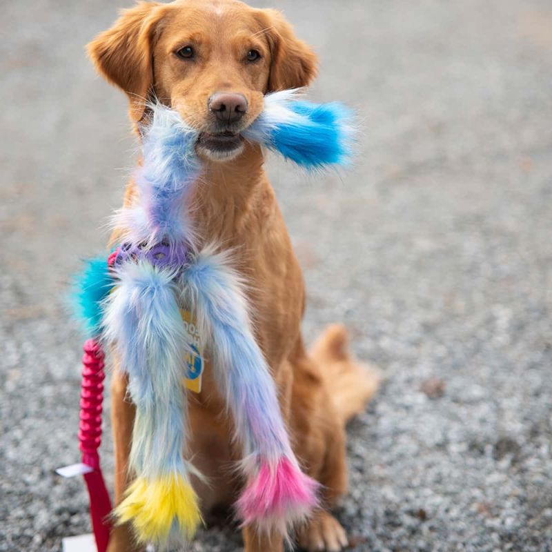 Doggie-Zen Kampleke med strikk, fuskepels og nettingball