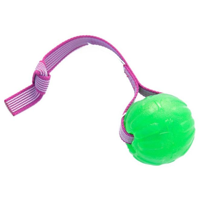 Hovedbilde Doggie-Zen Sure grip funball