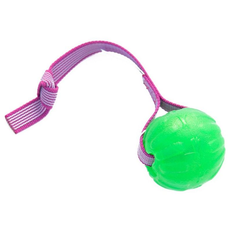 Doggie-Zen Sure grip funball