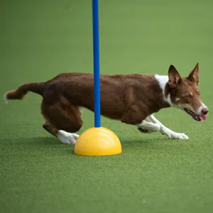 Hovedbilde Halvkule til pinne