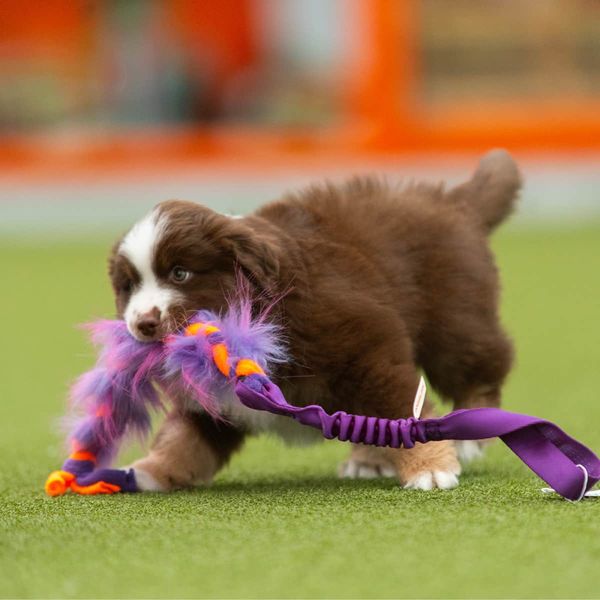 Doggie-zen Elastisk flette med fuskepels