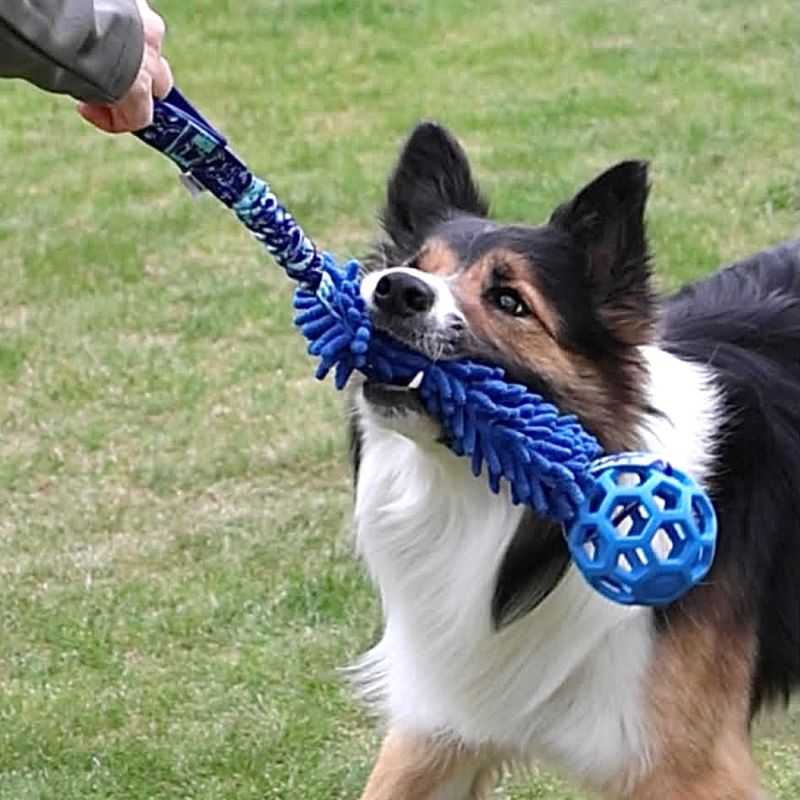 Zayma dogsport mop med hol-ee roller