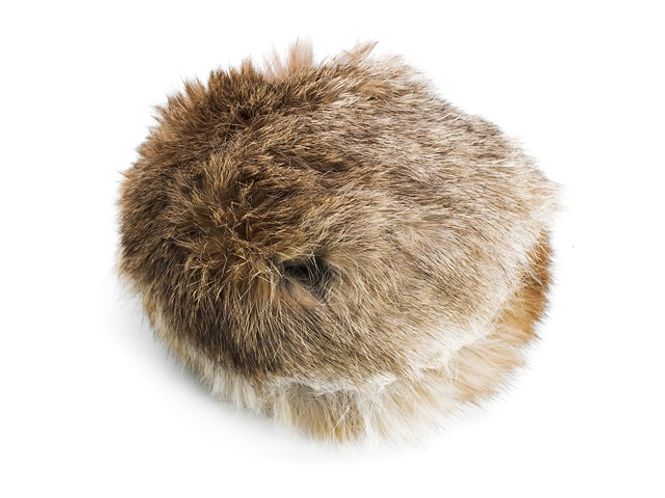 Hovedbilde Mystique Hunting disc fur