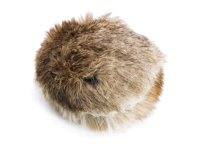 Hovedbilde Mystique Hunting disc fur