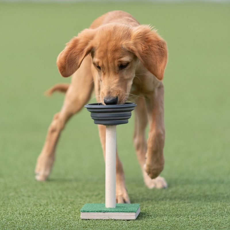 Reward stick innendørs