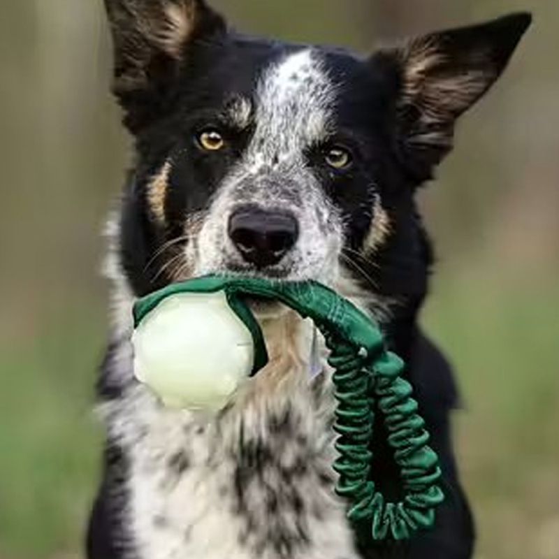 Doggie-Zen Selvlysende ball med kort strikk