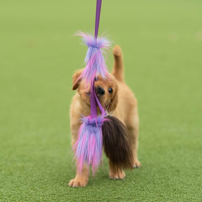 Doggie-Zen Blekksprut jaktleke med sau og kanin
