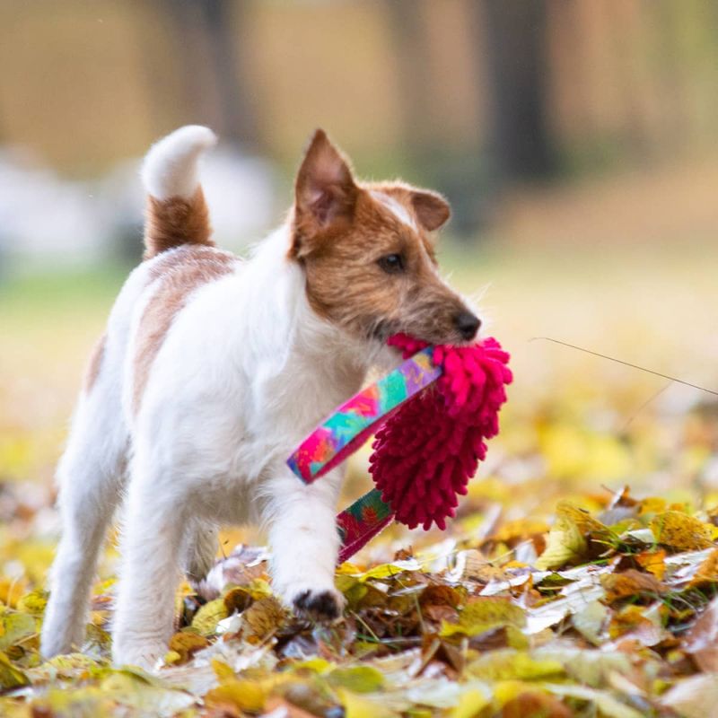 Dog's Craft mopik mini crab